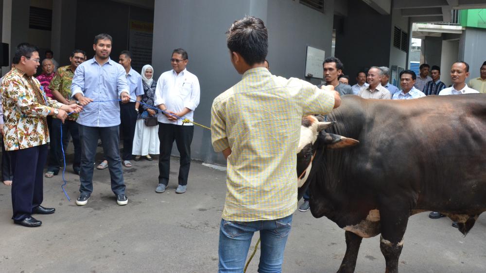 Penyerahan Hewan Qurban di lingkungan Kemkominfo secara simbolis dari Menteri Kominfo kepada Ketua Panitia Qurban Sesditjen SDPPI Sadjan