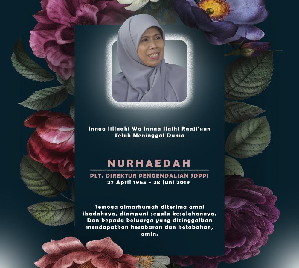 Ir. Nurhaedah, MMBAT
